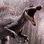 The Spino in question
