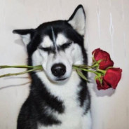 吃不了你能兜着走？