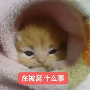 胆敢对本王不敬