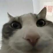 gamesexsy level 2 avatar