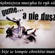 ^Ly$y^.[PDG]  ^SHOOTERSI.PL^