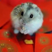 ЧУШКА БОЛОТНАЯ