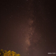 翻斗花园梅狸猫