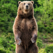 GriZzly - steam id 76561199570165959