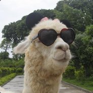 羊驼孜然味平角裤三世