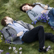 把爱留在星野吧