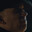 Örlogsúlfr avatar