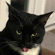 Lampreia Lusitana's avatar