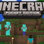 I PLAY MINECRAFT PE