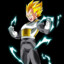 DGB_VEGETA