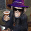 Pimp Chimp