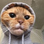 Patate2Forain