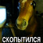 ПОХУЕННО