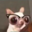Mrs Propirdolio
