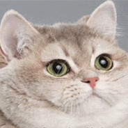 Heathy - steam id 76561197965779878