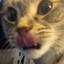 Meow