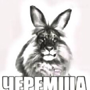 Миша Велосипед