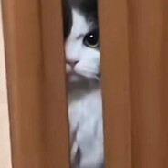 18岁白丝艺术生