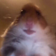 𝕽𝖎𝖇𝖊𝖎𝖗𝖔