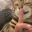 我能孤芳自赏