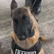 Randy Police Dog (RPD)