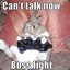 Ratsnom