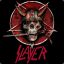 SlayeR