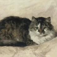 Coupons open - Купон отк