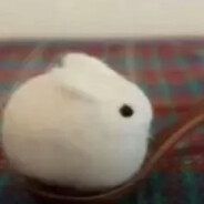 Bunny On A Spoon
