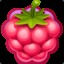 RaspberryTia