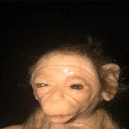 Ape