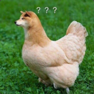 波楼鸡窦我大晒