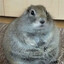 HumbleRichardsonGroundSquirrel