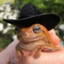 chief of frog police