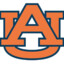 Auburn fan