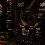 Player avatar