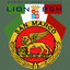 Lion_BSM