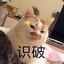 猫扑风铃