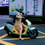 伊丽莎白