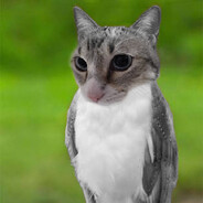Glebu