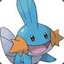 Mudkip