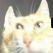 soltyslo 's avatar