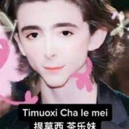 Timouxi Xie lei mei