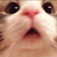 wwwwq