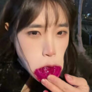 四川飛翔的雄鷹