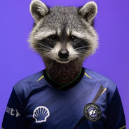 www.twitch.tv/racc0oncs avatar