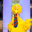 Big Bird