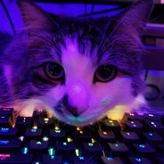 mleko2211