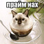 Не обзывайся