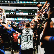 故乡的樱花开了